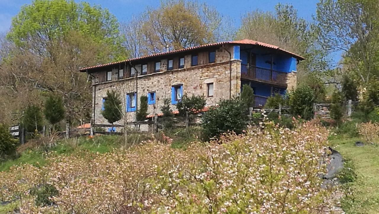 Elbosqueencantadocantabria Villa Ampuero Exterior photo